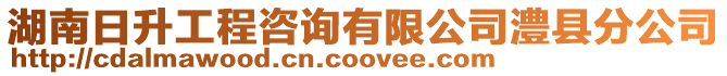 湖南日升工程咨詢有限公司澧縣分公司