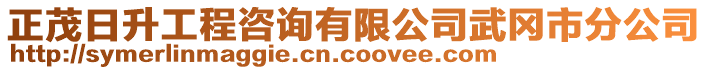 正茂日升工程咨詢有限公司武岡市分公司