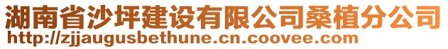 湖南省沙坪建設(shè)有限公司桑植分公司