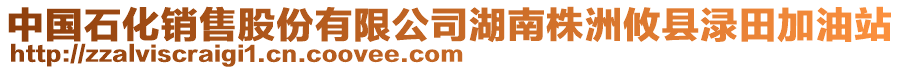 中國石化銷售股份有限公司湖南株洲攸縣淥田加油站