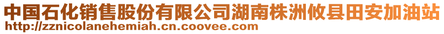 中國石化銷售股份有限公司湖南株洲攸縣田安加油站