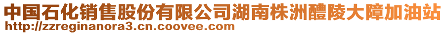 中國(guó)石化銷售股份有限公司湖南株洲醴陵大障加油站