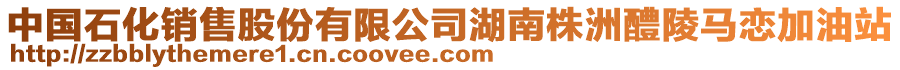 中國石化銷售股份有限公司湖南株洲醴陵馬戀加油站