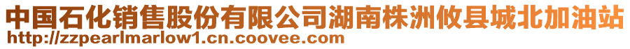中國石化銷售股份有限公司湖南株洲攸縣城北加油站