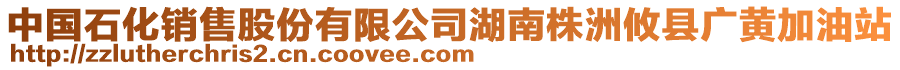 中國石化銷售股份有限公司湖南株洲攸縣廣黃加油站