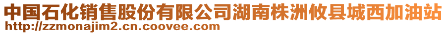 中國石化銷售股份有限公司湖南株洲攸縣城西加油站