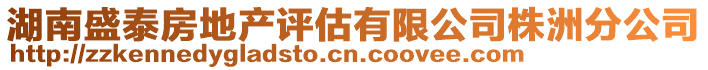 湖南盛泰房地產(chǎn)評(píng)估有限公司株洲分公司