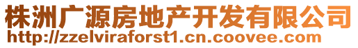 株洲廣源房地產(chǎn)開發(fā)有限公司