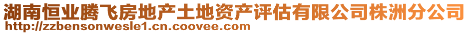 湖南恒業(yè)騰飛房地產(chǎn)土地資產(chǎn)評(píng)估有限公司株洲分公司