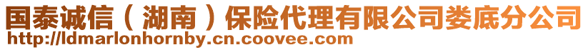 國泰誠信(湖南)保險代理有限公司婁底分公司