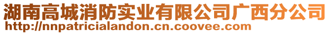 湖南高城消防實業(yè)有限公司廣西分公司