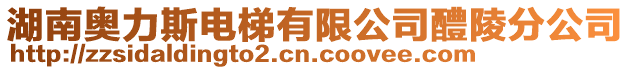 湖南奧力斯電梯有限公司醴陵分公司