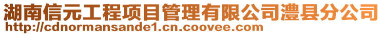 湖南信元工程項目管理有限公司澧縣分公司