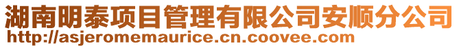 湖南明泰項目管理有限公司安順分公司