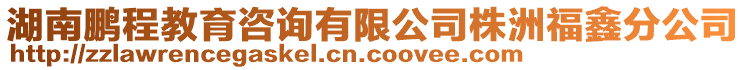 湖南鵬程教育咨詢有限公司株洲福鑫分公司