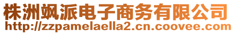 株洲颯派電子商務有限公司