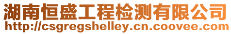 湖南恒盛工程檢測有限公司