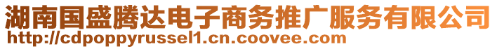 湖南國(guó)盛騰達(dá)電子商務(wù)推廣服務(wù)有限公司