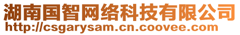 湖南國智網(wǎng)絡(luò)科技有限公司