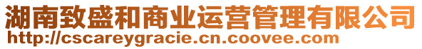 湖南致盛和商業(yè)運(yùn)營(yíng)管理有限公司