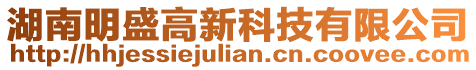 湖南明盛高新科技有限公司