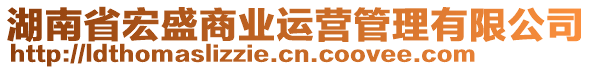 湖南省宏盛商業(yè)運(yùn)營管理有限公司