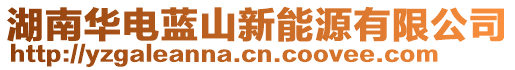 湖南華電藍(lán)山新能源有限公司