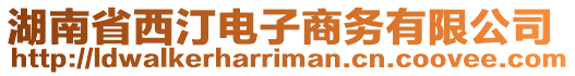 湖南省西汀電子商務(wù)有限公司