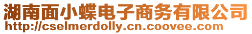 湖南面小蝶電子商務有限公司