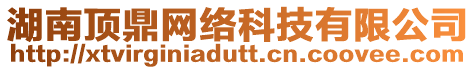 湖南頂鼎網絡科技有限公司