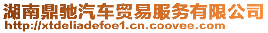 湖南鼎馳汽車貿(mào)易服務(wù)有限公司