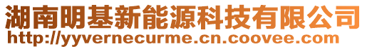 湖南明基新能源科技有限公司