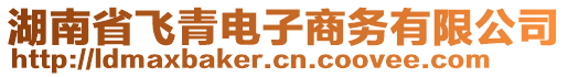 湖南省飛青電子商務(wù)有限公司