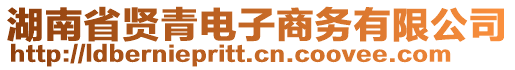 湖南省賢青電子商務有限公司