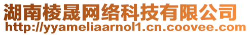湖南棱晟網絡科技有限公司