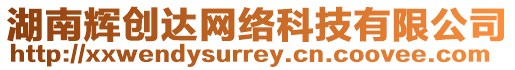 湖南輝創(chuàng)達(dá)網(wǎng)絡(luò)科技有限公司