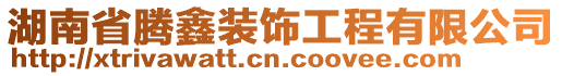 湖南省騰鑫裝飾工程有限公司