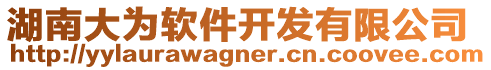 湖南大為軟件開發有限公司
