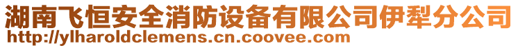 湖南飛恒安全消防設備有限公司伊犁分公司