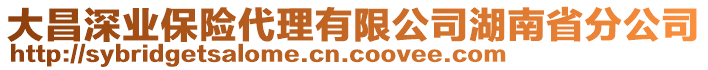 大昌深業(yè)保險代理有限公司湖南省分公司