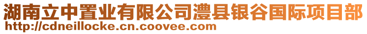 湖南立中置業(yè)有限公司澧縣銀谷國(guó)際項(xiàng)目部