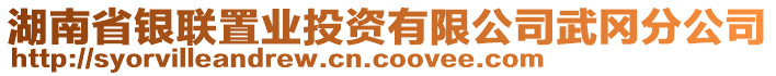 湖南省銀聯(lián)置業(yè)投資有限公司武岡分公司