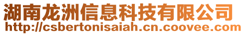 湖南龍洲信息科技有限公司