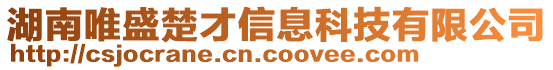 湖南唯盛楚才信息科技有限公司