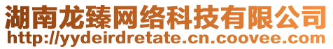 湖南龍臻網(wǎng)絡(luò)科技有限公司