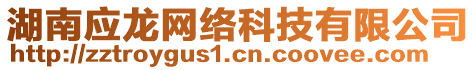 湖南應(yīng)龍網(wǎng)絡(luò)科技有限公司