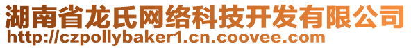 湖南省龍氏網(wǎng)絡(luò)科技開發(fā)有限公司