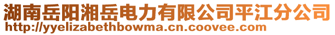 湖南岳陽湘岳電力有限公司平江分公司