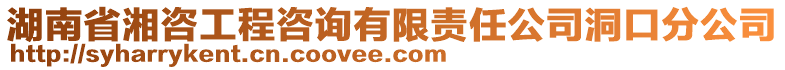 湖南省湘咨工程咨詢有限責任公司洞口分公司