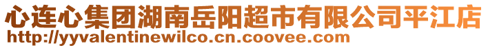 心連心集團湖南岳陽超市有限公司平江店